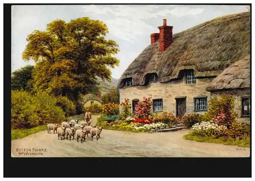 AK Artiste A.R. Quinton: Sutton Poyntz - Weymouth, moutons, non utilisés