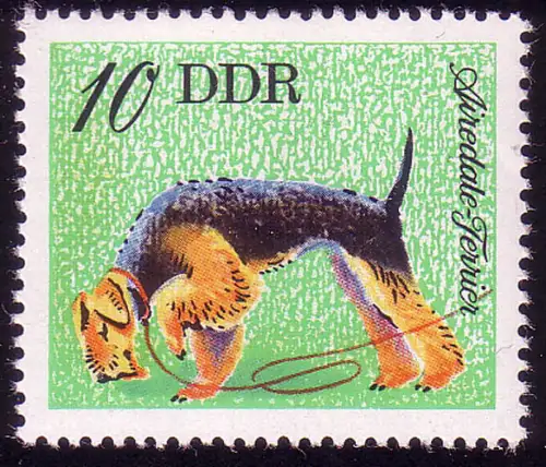 2156 races de chiens 10 Pf Airdale-Terre