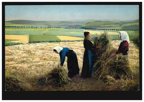 AK Agriculture: La récolte des céréales - Les fermiers à la gerbe, non utilisés