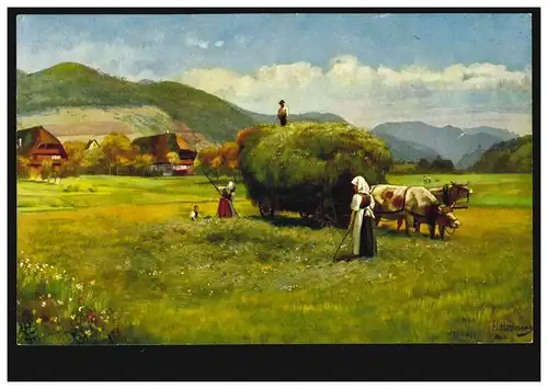 AK Agriculture - H. Hoffmann: Fleurs de foin dans la Forêt Noire, inutilisé