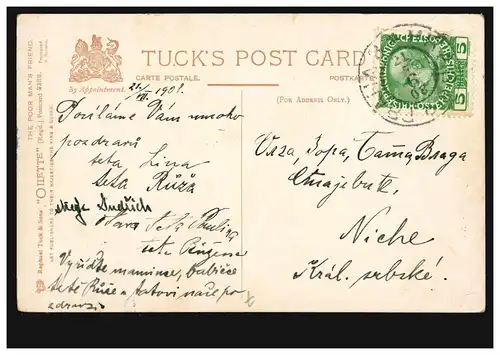 Künstler-AK Tuck's Post Card Harry Payne: Esel Freund des armen Mannes 21.7.1908