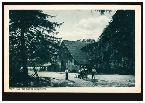 Foto-AK Motiv aus der Senne-Staumühle, Feldpost SENNELAGER / PADERBORN 17.3.1917