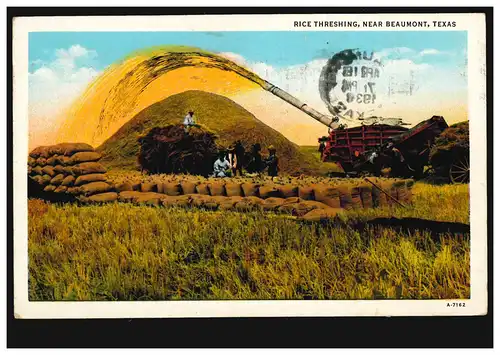 USA-AK Récolte de riz près de BEAUMONT TEXAS 18.4.1938 vers la Belgique