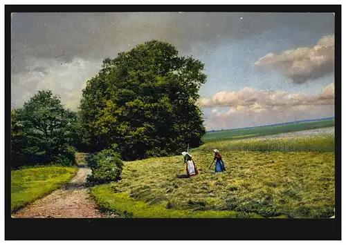 AK Feldarbeiten: Bäuerinnen beim Heuwenden FRIEDRICHSHAFEN / BODENSEE 19.6.1934 