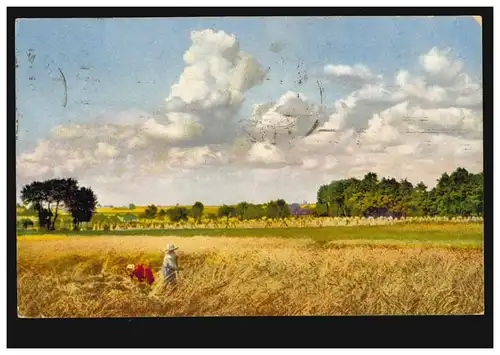 AK Travail de la moisson des céréales moissonneuses avec la faux et la paysanne à la corde, 1918