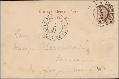 AK Plzen / Pilsen - Panorama, passender Stempel PILSEN - PLZEN 2.8.1899
