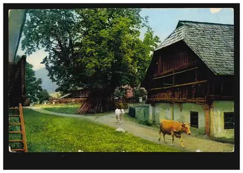 AA Agriculture: idylle du village avec bovins, CLOTZSCHE 4.1.1933