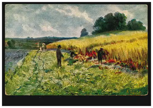 AK Agriculture Anton Jänicke: récolte de céréales, édition Rehn Cassel, non utilisé