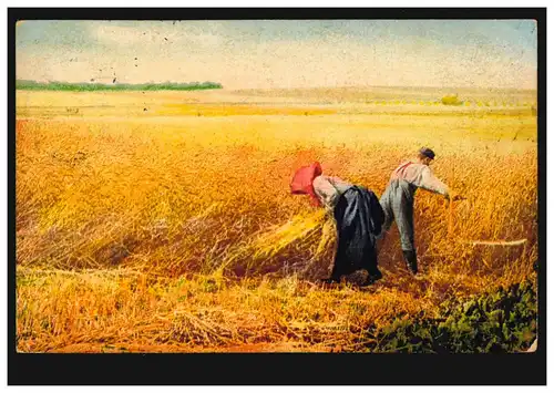 AA Agriculture: récolte de céréales - moissonneuse et lambris de gerbes, DÜSSELDORF 30.11.08