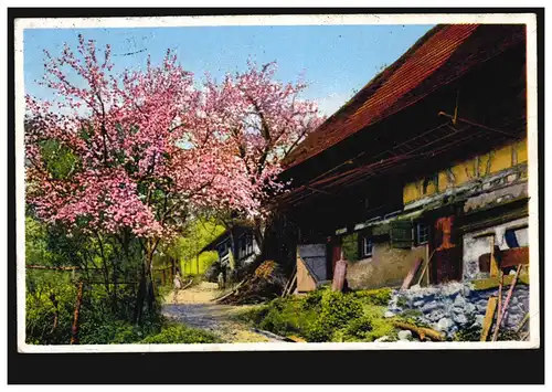 AA Agriculture: Ferme au printemps, WALTERSDORF (AMTSSH. ZITTAU) 7.6.1931