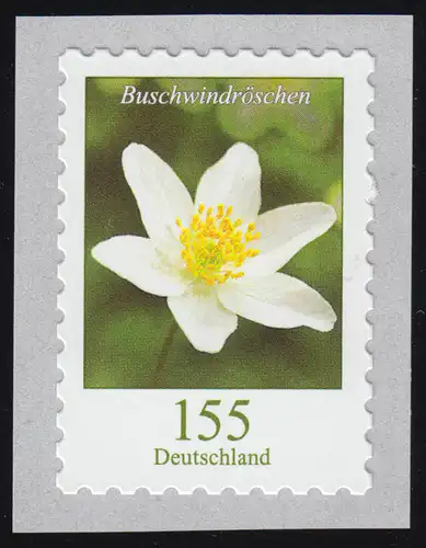 3484 Blume Buschwindröschen 155 Cent, selbstklebend von der Rolle, **