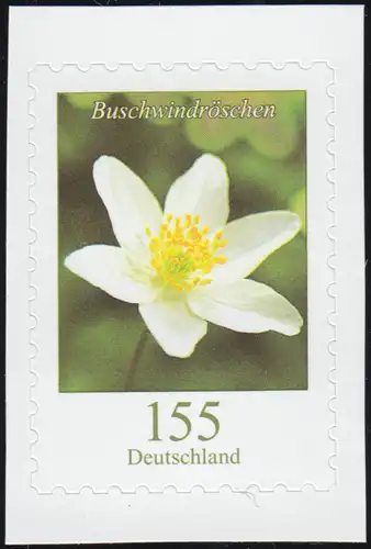3484 Blume Buschwindröschen 155 Cent, selbstklebend aus FB 91, **