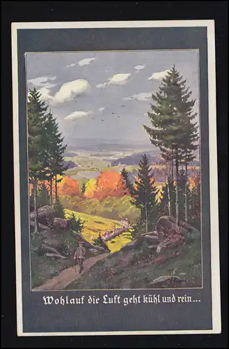 Künstler-AK Deutsche Wacht Landschaftsbild: Wohlauf die Luft geht kühl und rein