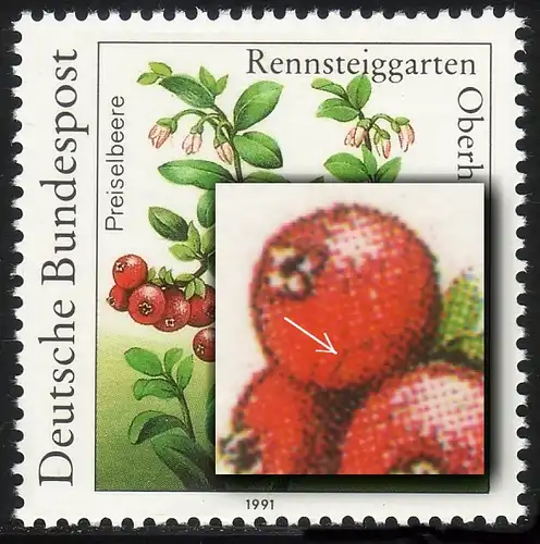 1508 Rennsteig 100 Pf: PLF Strich in roter Beere **