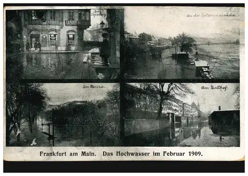 AK Frankfurt/Main: Das Hochwasser im Februar 1909 mit 4 Bildern, 10.2.1909