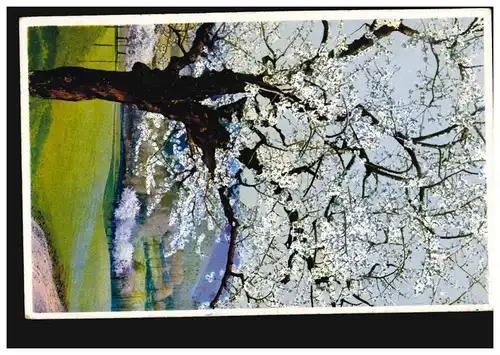 AK Artiste Fleur de Printemps, Photochromie N.O.D., CELLE 10.6.1929