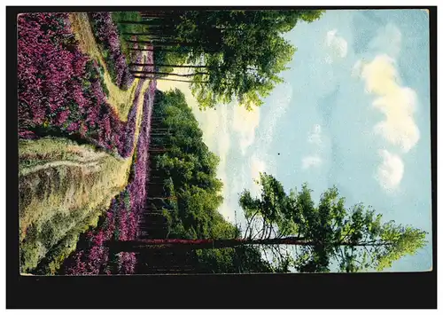 Artiste-AK Lüneburger Heide: Waldweg in den Lohbergen, LÜNEBURG 4.8.1918
