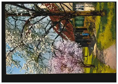 Künstler-AK Bodensee: Hoier-Lindau, Photochromie N.O.D., RAGUHN 8.4.1917