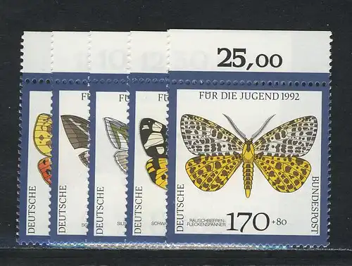 1602-1606 jeune papillon de nuit 1992, Oberrand, phrase **