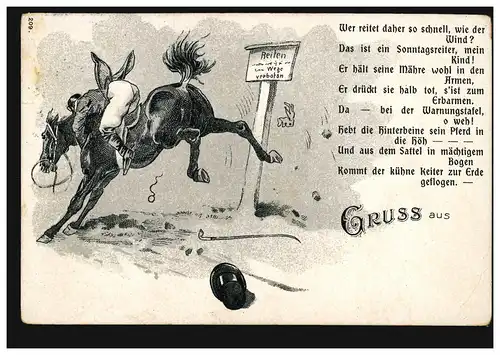 Karikatur-AK Gruss aus ... Der Sontagsreiter, LANDAU Pfalz 2 - 17.3.1912