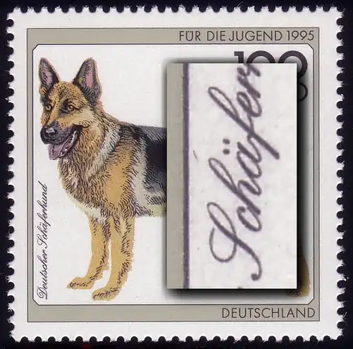 1799 Schäferhund mit PLF Strich über h von Schäfer-, Feld 4 **