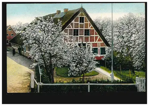 AK Artiste Kirschland - Ferme avec cerisiers fleuris, inutilisé