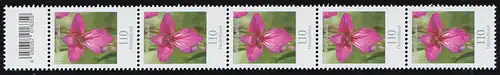 3471 Wild-Gladiole 110 Cent, 5er-Streifen mit Codierfeld, KLEINE Nr. **