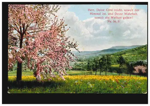 AK Artiste - avec Palm 36, 6 - STUTTGART-UNTERTÜRKHEIM 1941