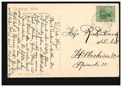 AK Lüneburger Heide: Schierhorn, berger près de Schierrhorn, couru vers 1910