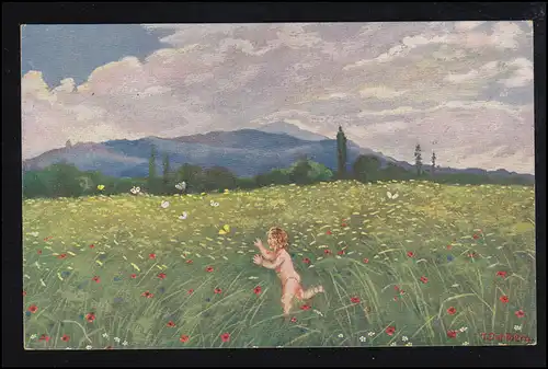 AK Artiste de Gauen allemand: Papillons, Editeur A.R.&C.i.B.,inutilisé