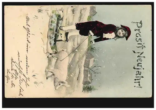 Neujahr-AK Schlittengespann mit Schwein, PEGAU um 1904