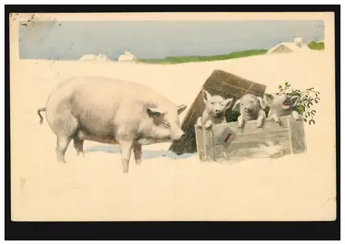AK du Nouvel An Trois porcelets dans une boîte en bois avec mère de porc, BUDAPEST 28.12.14