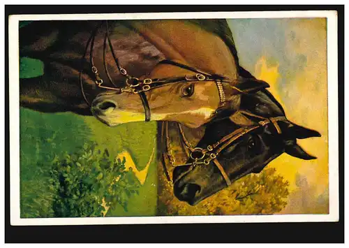 Artiste-AK Deux têtes de cheval, maison d'édition O.G.Z.-L., BRAUNSCHWEIG 1.6.1925