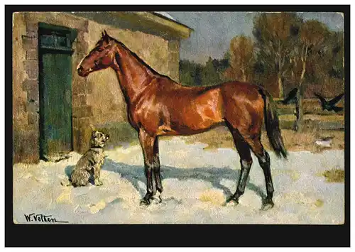Künstler-AK W. Velten: Pferd mit Hund und Raben, Verlag T.S.N., ungebraucht