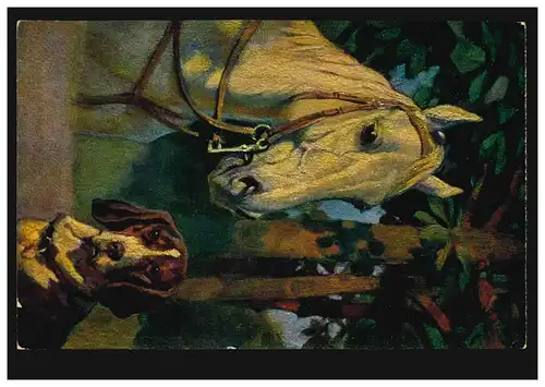 AK artiste amitié animale - cheval et chien, BRUNSCHWEIG 21.12.1925