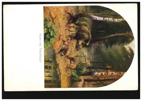 AK Carl v. Dombrowski: Bache mit Frischlingen, Jägerhorn-Postkarte ungebraucht