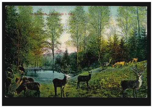 AK Rothesütte im Harz: Heller-Teich mit Hirschen und Rehen, ungebraucht