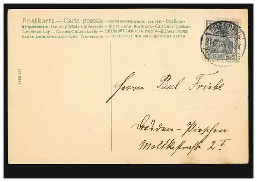 AK du Nouvel An Avec le cochon chanceux et le trèfle de la chance pour la nouvelle année, DRESDEN 31.12.1905