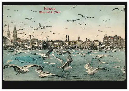 Carte de vue Hambourg: Möwen sur l'Alster, HAMBURG 5 a 20.1.1907
