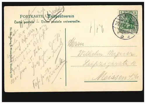 Ansichtskarte Hamburg: Möwen auf der Alster, HAMBURG 5 a 20.1.1907