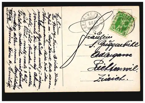 AK Artiste Quatre cygnes dans le étang de parc, OBER-WEZICON 9.2.1909