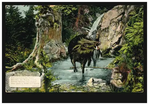 AK Artiste Le Eber blessé, WILDBAD WÜRTTEMBERG 3.5.1910