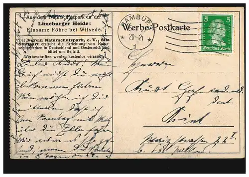 AK Lüneburger Heide: Föhre solitaire près de Wilsede, HAMBURG 15.7.1927