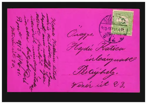 Mode AK Femme avec fleurs, carte couleur, Editeur EAS, BUDAPEST 11.9.1913