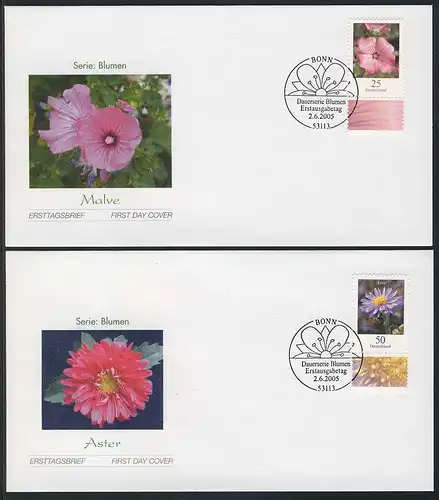 2462-2463 Fleurs 0,25 et 0,50 euros 2005 sur 2 FDC ESSt Bonn