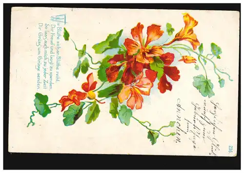 Blumen-AK Nelkenzweig mit Gedicht, HEIDMÜHLE 11.3.1907 nach FRIEDEBURG 12.3.07