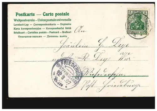 Blumen-AK Nelkenzweig mit Gedicht, HEIDMÜHLE 11.3.1907 nach FRIEDEBURG 12.3.07