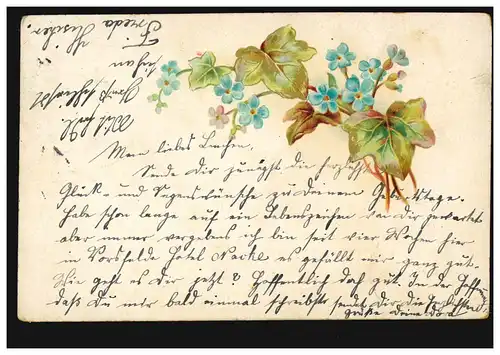 Blumen-AK Veilchenzweig, VORSFELDE 16.6.1902 nach GITTELDE (BAHNHOF) 16.6.02