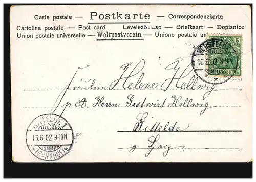 Branche de violette de fleurs AK, AVANT-PROJET 16.6.1902 par GITTELDE (BAHNHOF) 16.06.192