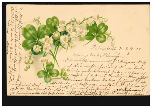 Blumen-AK Märzenbecher mit Glücksklee, HELMSTEDT 3.9.1900 nach ROTTORF 4.9.00
